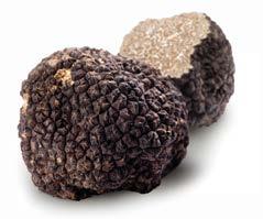 BIANCHETTO TRUFFLE Modalità di conservazione* Storage conditions* TARTUFO NERO PREGIATO TUBER MELANOSPORUM