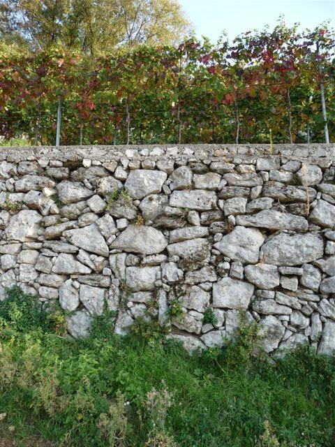 La semplicità di Nonno Leone L anima dell azienda proviene dalle parole e dal pensiero di nonno Leone che affermava come ascoltando la natura, accorgendosi dei suoi segnali, si poteva collaborare con