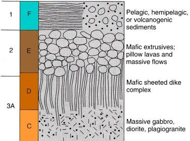 Sono caratterizzati da una topografia horst-graben con grosse faglie subparallele all'arco. Lo spessore della copertura sedimentaria è variabile.