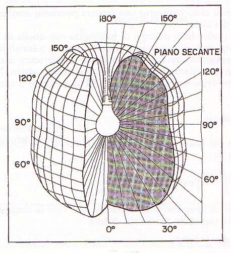 Grandezze fotometriche Titolo diagramma Stimolo FLUSSO LUMINOSO φ = k(λ) P(λ) unità