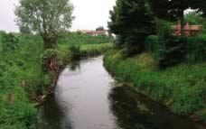 Commento ai risultati Il fiume Brenta è un ambiente fluviale che nel corso delle precedenti indagini (1987-1998) è stato sempre segnalato per la buona qualità delle sue acque, in particolare nel