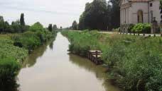 del Bacchiglione, dall ingresso del fiume nella nostra provincia fino a valle della città patavina, mantiene un indice biotico pari a 8, corrispondente in termini qualitativi ad una II^ classe.