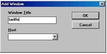3. inserire il nome della nuova finestra solo nel campo Window Title. Nota: Non inserire alcun dato nel campo Host. Una volta completato l inserimento click su [OK].