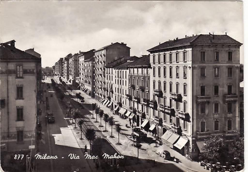 Finalmente nel 1953 Il viale assume la conformazione definitiva, con le piante che dopo la sosta nei vivai