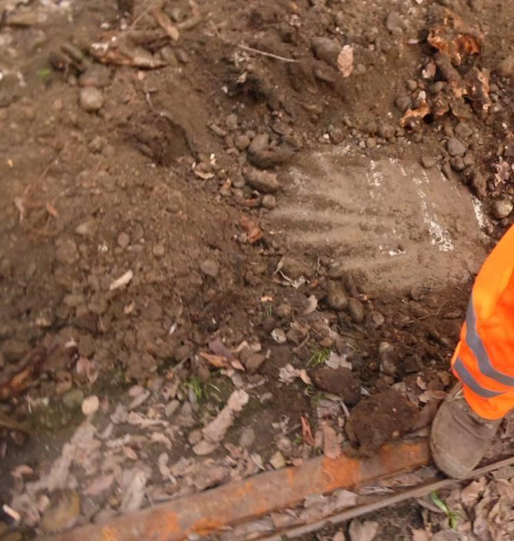 Volendo pertanto mantenere un margine di sicurezza a garanzia della stabilità delle piante arboree indagate, le elaborazioni dei dati derivanti dalle prove di trazione sugli olmi del Viale Mac Mahon