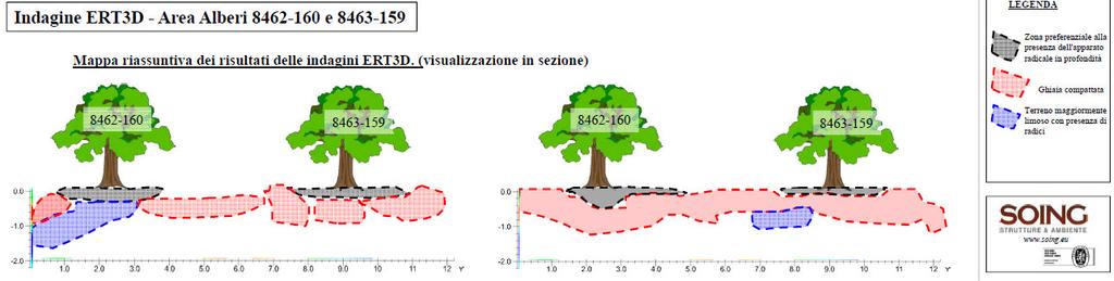 Particolarmente utile è risultata l analisi radicale con l uso della tomografia elettrica ad