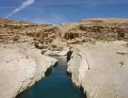 Wadi Arbeen si raggiunge percorrendo una pista sterrata con un suggestivo panorama tra i monti dell Hajar fino a quando alla