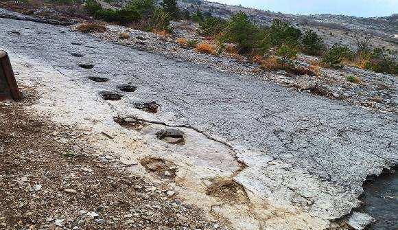 Le principali modalità di fossilizzazione Orme = dovute all indurimento di un minerale plastico