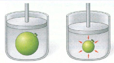 Se, per esempio, su un pistone avente l area di 1 dm 2 (ossia 10 2 m 2 ) viene esercitata una forza di 10 N, la pressione risultante è pari a 10 N/10 2 m 2 = 10 3 Pa.