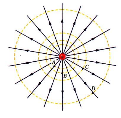 Linee di forza e superfici ad energia potenziale costante per una carica