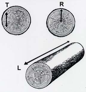 Le biomasse legnose: il legno 21 Fig.