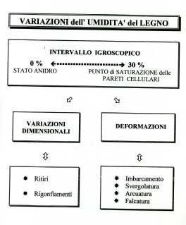 Le biomasse legnose: il legno 23 Il passaggio del legno dallo stato fresco allo stato prossimo all'umidità normale (in eccesso o in difetto) può avvenire mediante stagionatura naturale all'aria o per