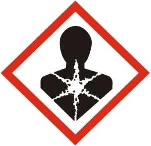 SCHEDA DI DATI DI SICUREZZA GASOLIO 2. IDENTIFICAZIONE DEI PERICOLI Pericoli fisico-chimici: Pericoli per la salute: Pericoli per l ambiente: Liquido e vapori infiammabili.
