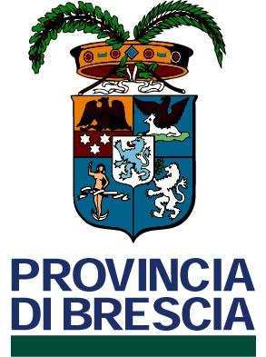 PROVINCIA di BRESCIA e BEI La Provincia di Brescia è attualmente in una fase di prevalutazione delle condizioni di ammissibilità alle linee di finanziamento BEI su alcuni progetti aventi a tema: