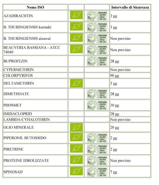 Supporto alle decisioni