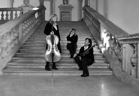 pianoforte CellingStones Anna Chiamba Giovanni Genovese Annalisa Petrella Domenica 13 Aprile 2014 - ore 17,30 Palazzo Cordellina Variazioni in