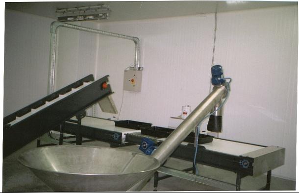 trattamento anticrittogamico Cella con impianto di semina delle patate (preventivamente trattate) nei vassoi posti sul piano scorrevole In progetto sono previste le celle climatizzate a 5 C e 50+/-5%