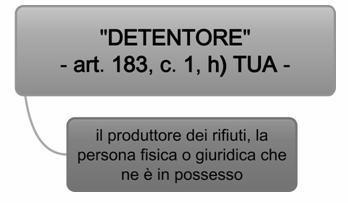 18 Capitolo 2 2.4 DETENTORE (ART. 183, COMMA 1, LETT. H), TUA) Schema 2.