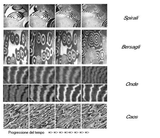 Cinetica oscillante (III) Come si può osservare dalla figura, in particolari condizioni fisiche di temperatura e di pressione dei