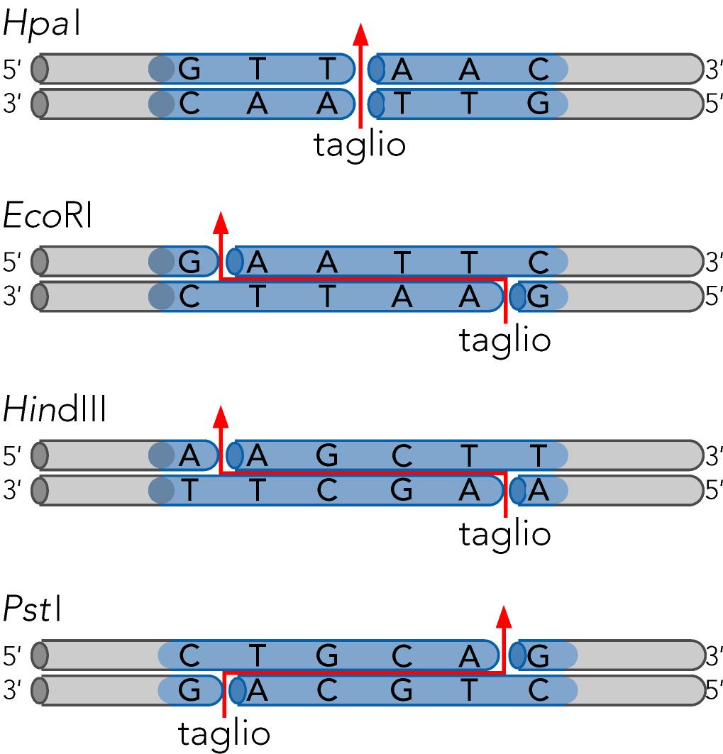 Watson et al.