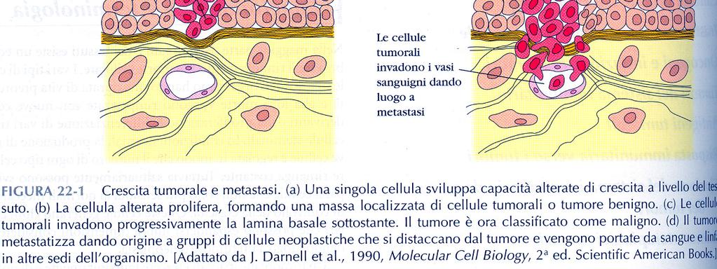 tumorale è un