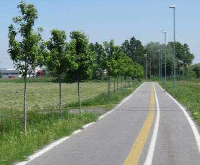 cani e parcheggio Messa a dimora