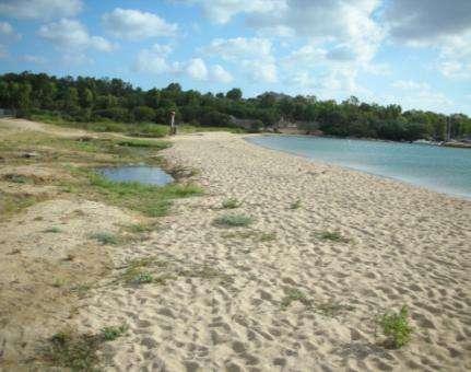 Saline con introduzione di