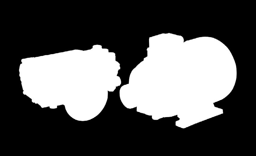 01500 200 220 15 900 400/50/1450 5,5 8 85 84X80X60 RIO 160.21 10.13.