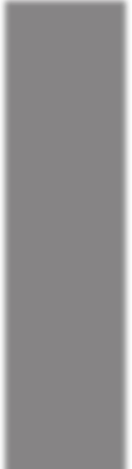 GERONIMO STILTON Testi di Geronimo Stilton. Copertina: idea di Lorenzo Chiavini, realizzazione di Flavio Ferron. Illustrazioni: idea di Lorenzo Chiavini e Topika Topraska.