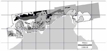 708 gruppamenti (RIPC/c + RIPC/o, RIHC + RIS) identificano fondi duri a ricoprimento algale; 4 individuano la vegetazione a Fanerogame marine, rispettivamente rappresentate dai posidonieti su roccia