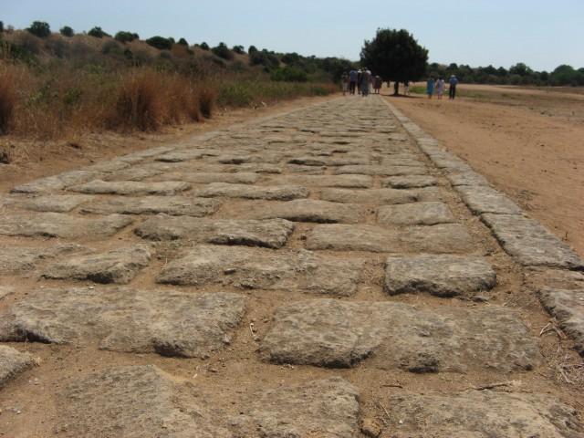 L'antica strada greca a Selinunte Cantine Settesoli ha sede sulla Strada Statale