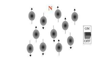 Orientazione degli spin In assenza di B 0 In presenza di B 0 B0 Proprietà che permette ad un nucleo atomico di interagire con un campo