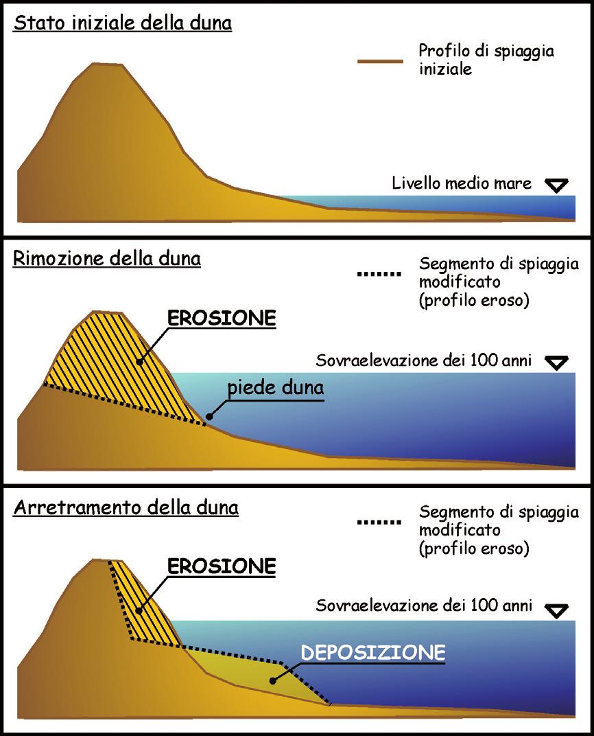 13 m (periodo di ritorno di 100 anni) Figura 10 Tipologie di erosione dei cordoni dunari in funzione dello stock sedimentario riferito alla quota del sovralzo del livello medio mare con periodo di