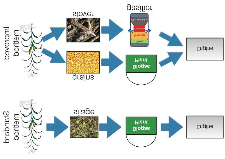 maize energy conversion WORKSHOP REBAF 18-09-2017: LA RICERCA