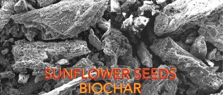 BIOCHAR FONGO-TONGO PROJECT