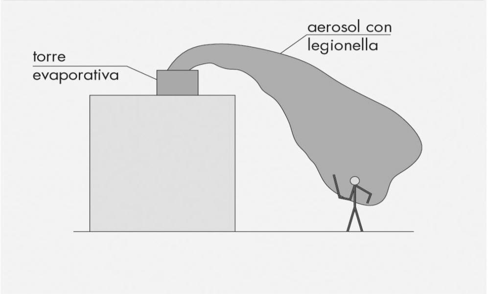 le persone Fonte: Doninelli M., Doninelli M.: Idraulica n.23 Ed.