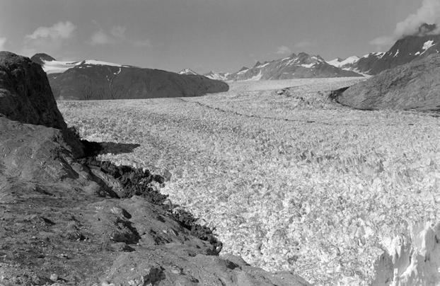 Congiunzione tra il ghiacciaio Muir e il suo affluente Riggs nel fiordo Muir.