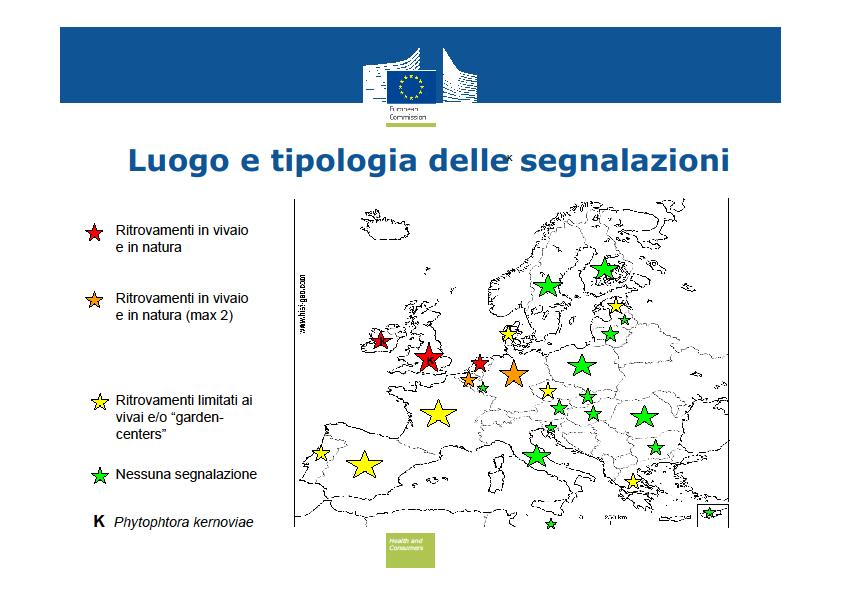 Regione: TOSCANA VIVAI CHE COMMERCIALIZZANO PLATANI DESTINATI ALLA PIANTAGIONE ALBERATURE STRADALI, PARCHI PUBBLICI, GIARDINI PRIVATI N TOTALE SITI ISPEZIONATI VISIVAMENTE N CAMPIONI PRELEVATI N