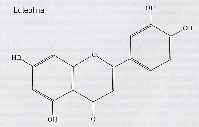 CROMOFORI (CENTRI DEL COLORE) -C=C -C=O -NO 2 -N=O -N=N- =CN =SO AUXOCROMI - OH - NH 2 - NHR - NR