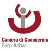Ruolo Camera di Commercio Belgo-Italiana La Camera ha partecipato ad ogni ciclo annuale del programma a partire dal 2, diventando anche leader partner in occasione del 5 e del 7 ciclo.
