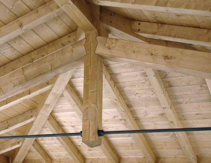 46 case E TETTI in legno IN COLLABORAZIONE CON Benessere ed eco-sostenibilità, Gli stilisti del tetto In
