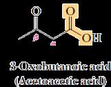 Sintetizzati nel fegato da acetil-coa (metabolismo acidi