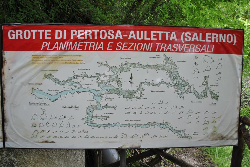 Le Grotte di Pertosa sono un complesso di cavità carsiche situate nel comune di Pertosa.