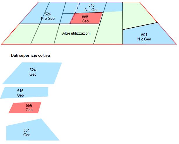 13.3.7 Superficie coltiva La superficie coltiva deve essere registrata, numericamente o geometricamente, al livello delle singole Superfici d utilizzazione.