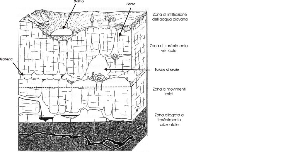 Le forme del paesaggio di grotta Dopo essere penetrata nel sottosuolo l acqua continua il suo lavoro di scavo e modellamento dando origine a tanti ambienti diversi.