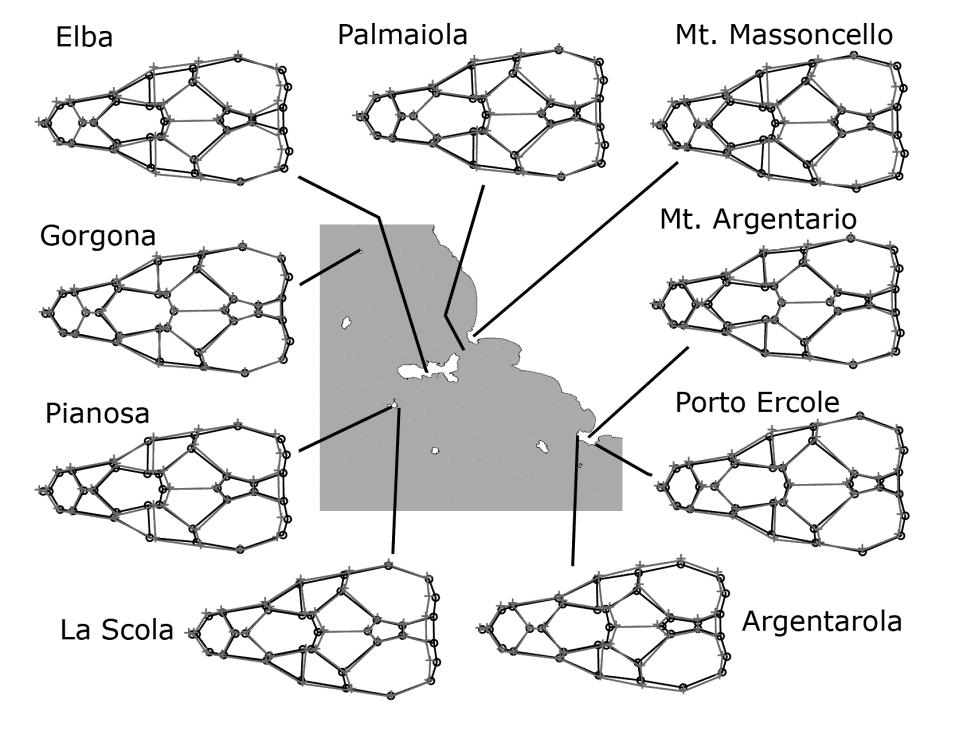 Evoluzione del dimorfismo sessuale in popolazioni insulari di tre specie di Lucertole Il dimorfismo sessuale (DS) è un fenomeno molto diffuso