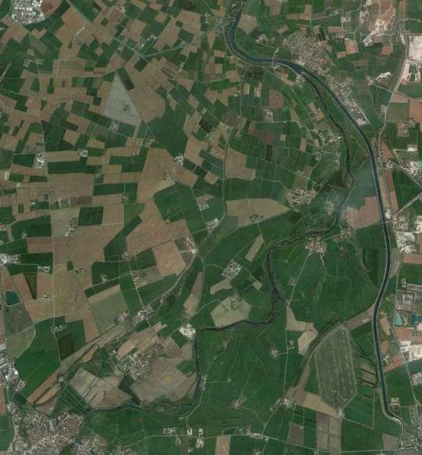 Azoto nel medio corso del Mincio Nel tratto a maggiore naturalità del fiume, tra Pozzolo e Goito, in circa 8 km il fiume acquista dalla falda superficiale tra 200 e oltre 1400 kg di azoto nitrico al