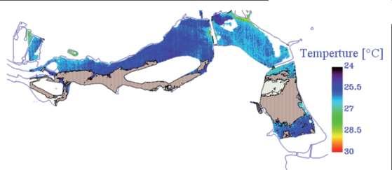 Prodotti di qualità dell acqua Mappe di solidi