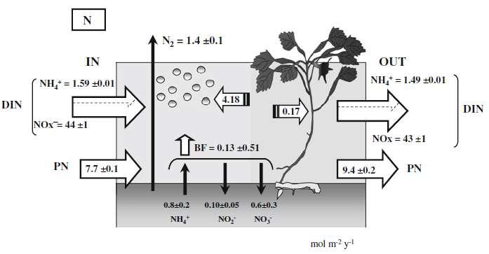 Bilancio dell azoto nel Lago di Mezzo ~680 t/anno ~ 670 t/anno Pinardi et al.