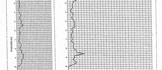 - II Livello di approfondimento: La stratigrafia della prova penetrometrica statica concorda in parte con i dati desunti da tale carta, infatti sono state rilevate sabbie immerse in falda, tra 13.